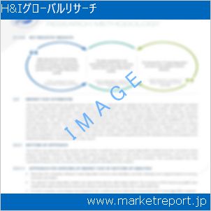 市場と産業調査レポートのイメージ
